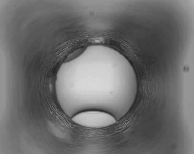 X0000115671442200911120955