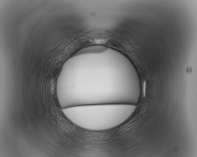 X0000115671443200911120955