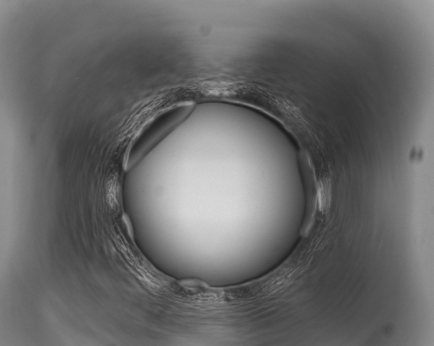 X0000115671444200911120955