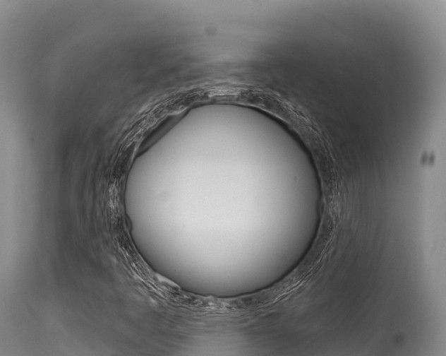 X0000115671445200911120955
