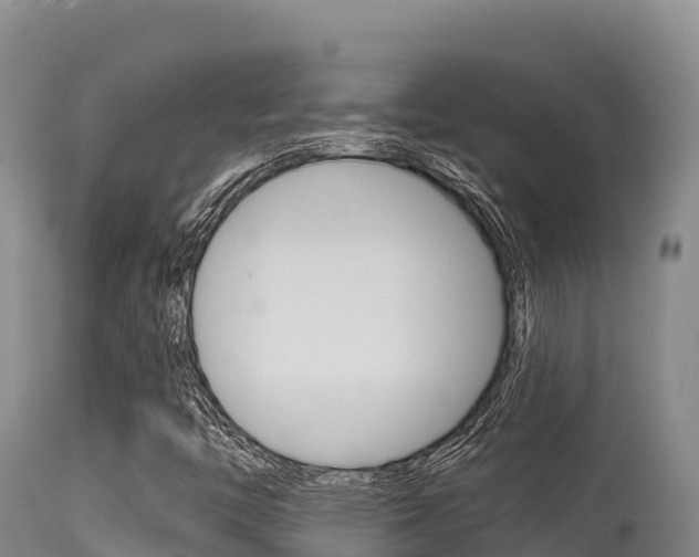 X0000115671446200911120955