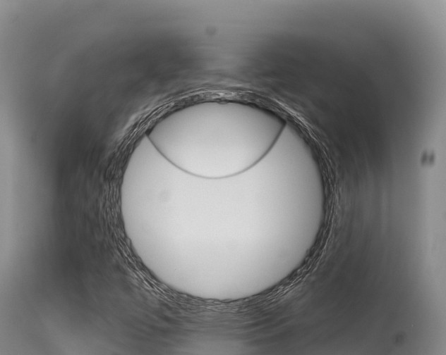 X0000115671447200911120955