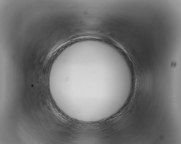 X0000115671448200911120955