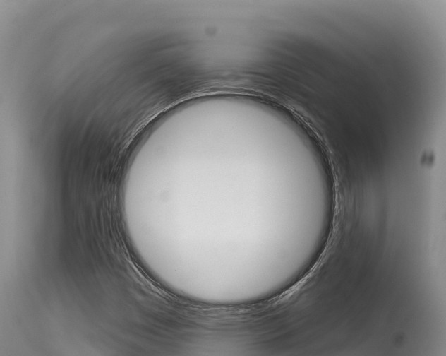 X0000115671449200911120955