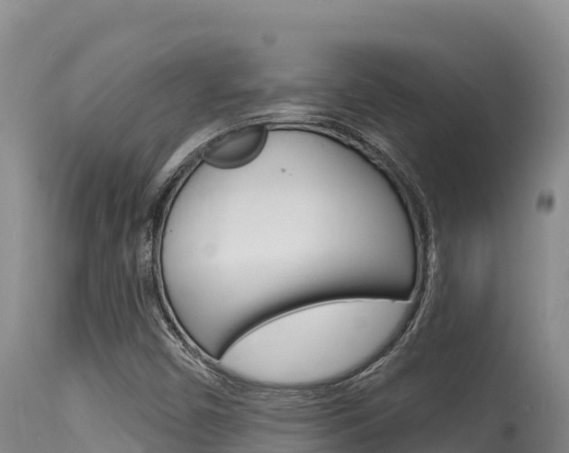 X0000115671450200911120955