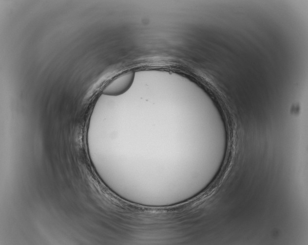 X0000115671451200911120955