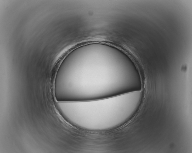 X0000115671452200911120955