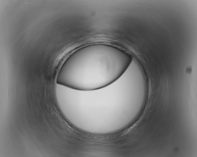 X0000115671453200911120955