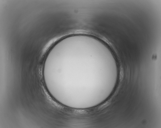 X0000115671454200911120955