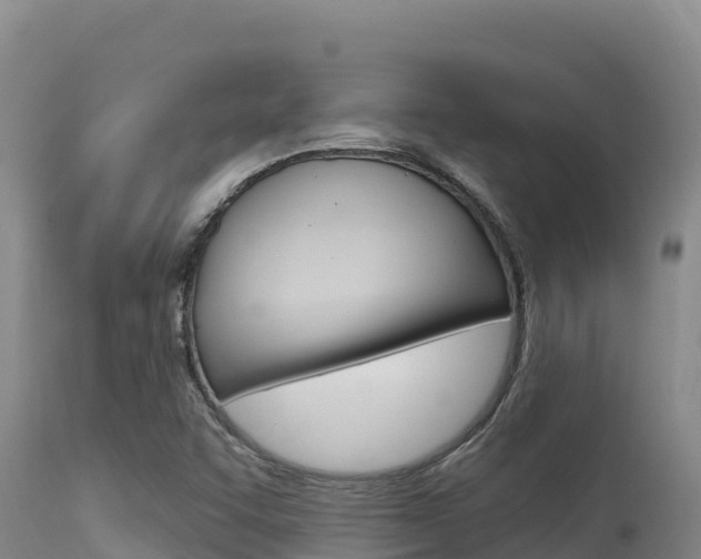 X0000115671455200911120955