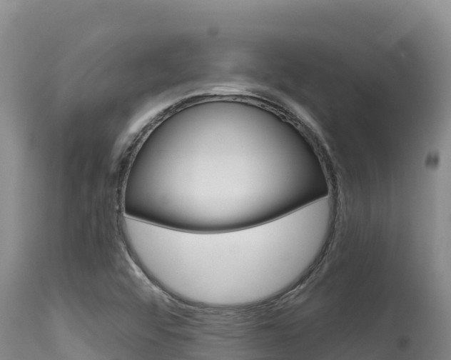 X0000115671456200911120955