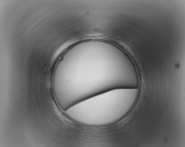X0000115671458200911120955