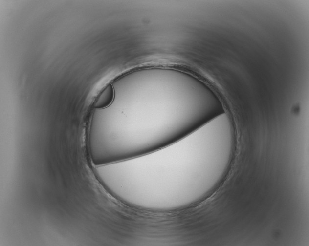 X0000115671459200911120955