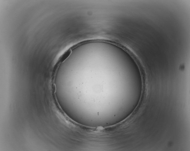 X0000115671460200911120955