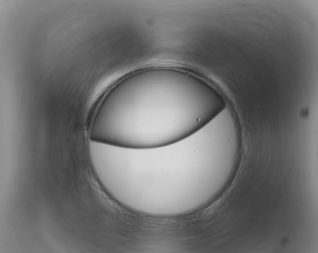 X0000115671461200911120955