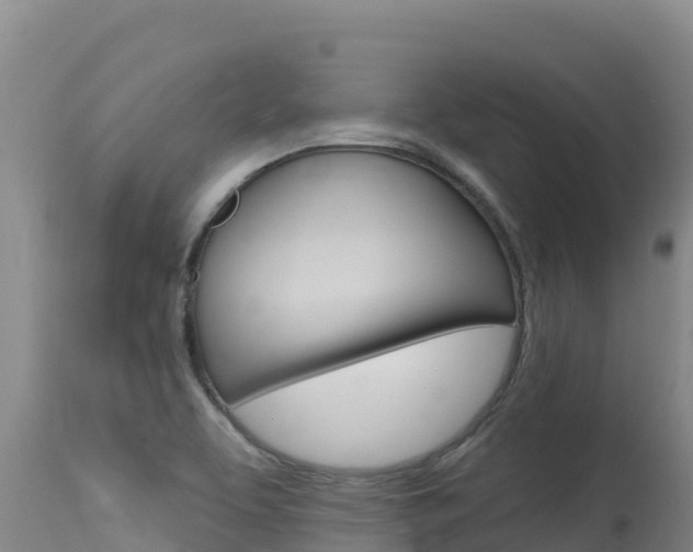 X0000115671463200911120955
