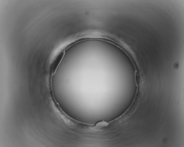 X0000115671464200911120955
