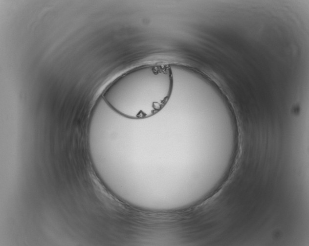 X0000115671465200911120955