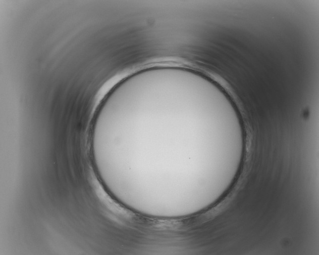 X0000115671466200911120955