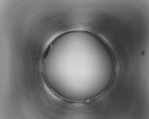 X0000115671468200911120955