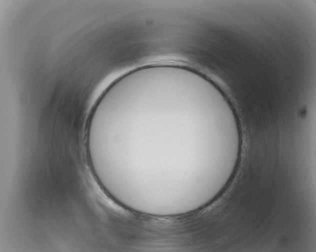 X0000115671470200911120955
