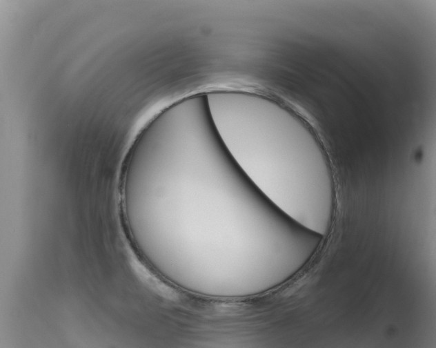 X0000115671471200911120955