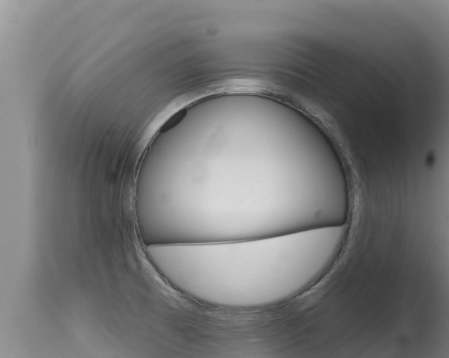 X0000115671473200911120955
