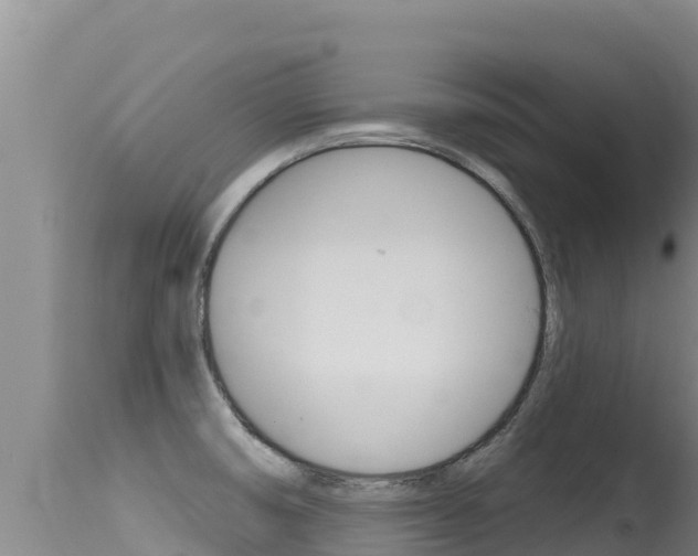 X0000115671474200911120955
