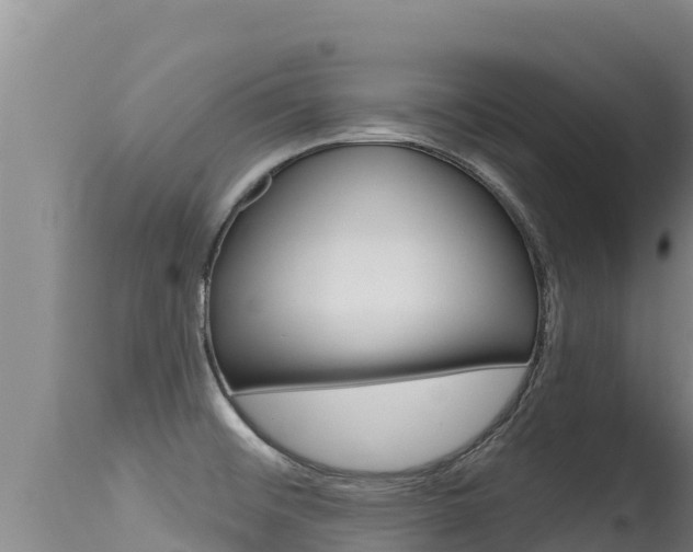 X0000115671476200911120955