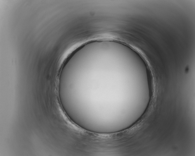 X0000115671477200911120955
