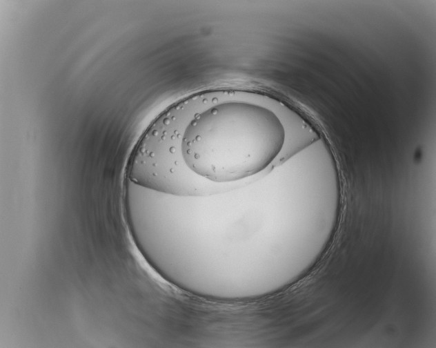 X0000115671479200911120955