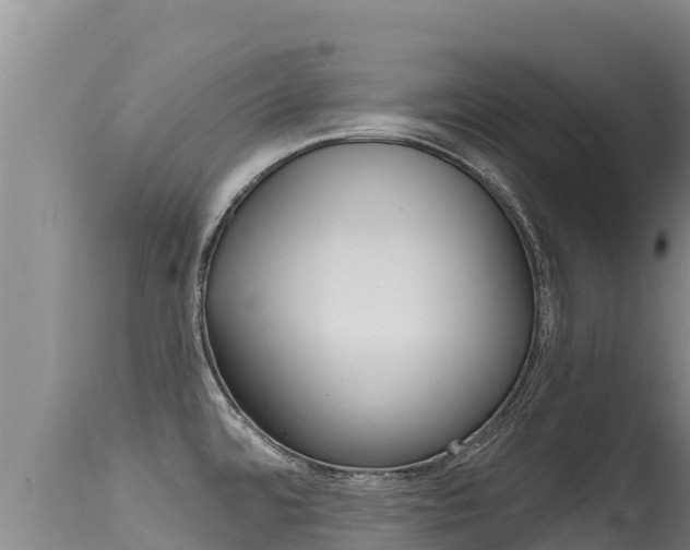 X0000115671480200911120955