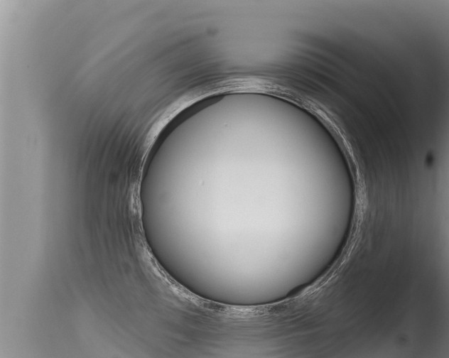 X0000115671481200911120955
