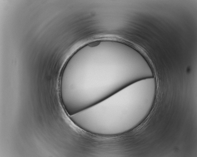X0000115671482200911120955
