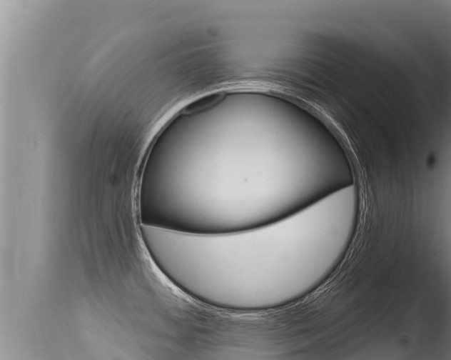 X0000115671484200911120955