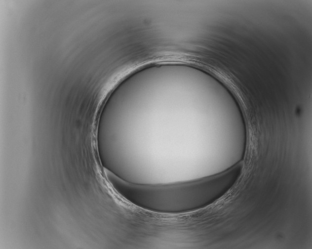 X0000115671485200911120955