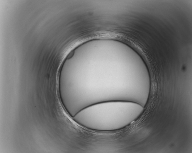 X0000115671487200911120955