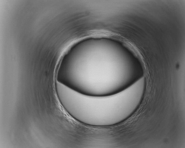 X0000115671488200911120955