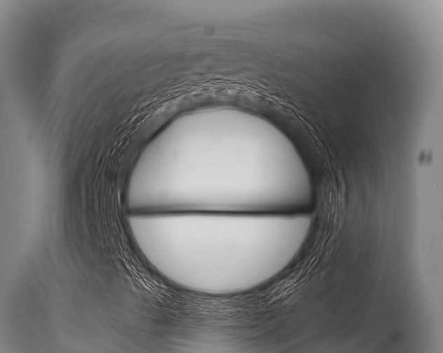 X0000115671489200911120954