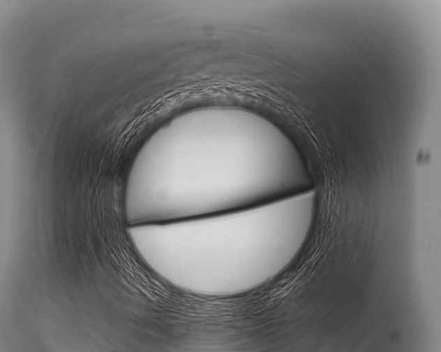 X0000115671490200911120954