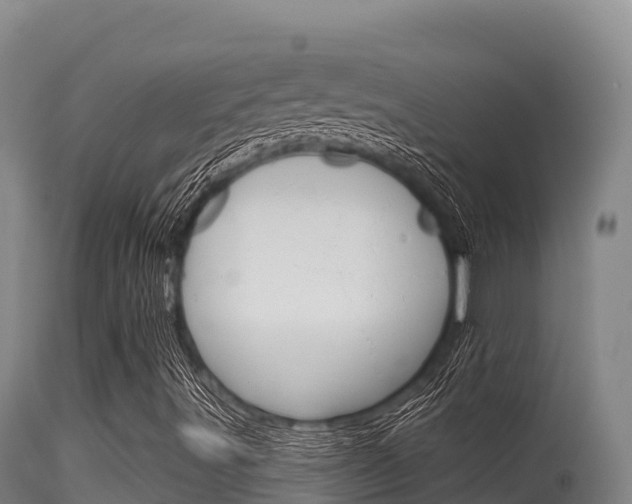 X0000115671491200911120954