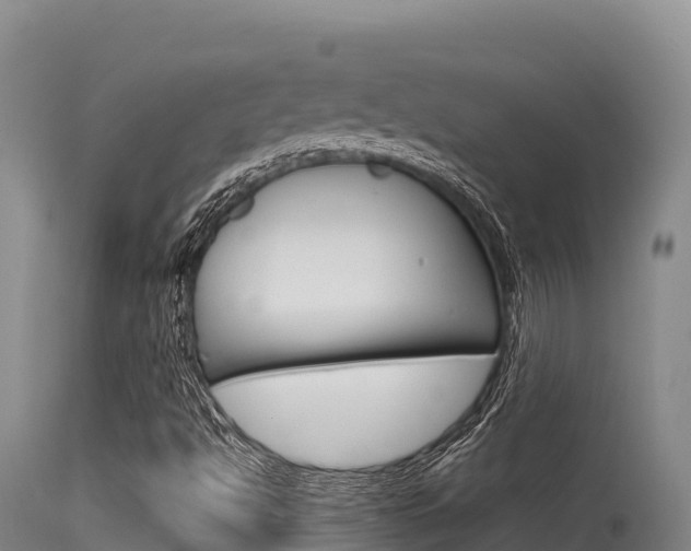 X0000115671494200911120954