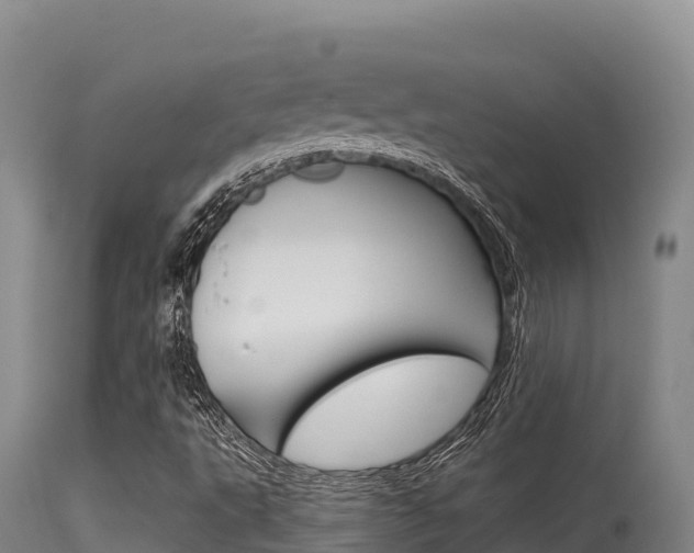 X0000115671495200911120954