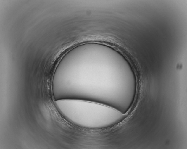 X0000115671497200911120954