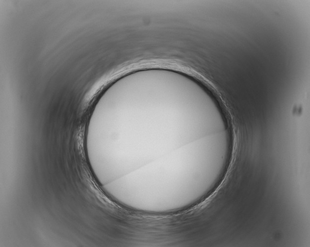 X0000115671498200911120954