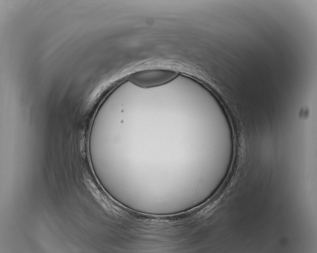X0000115671499200911120954