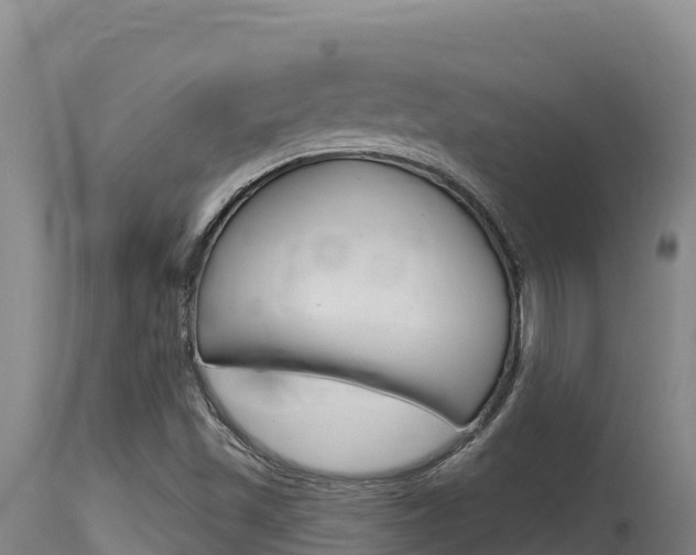 X0000115671501200911120954