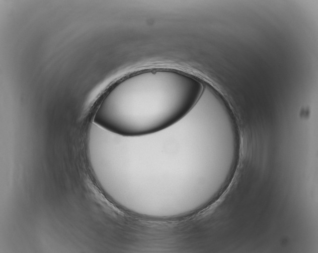 X0000115671502200911120954