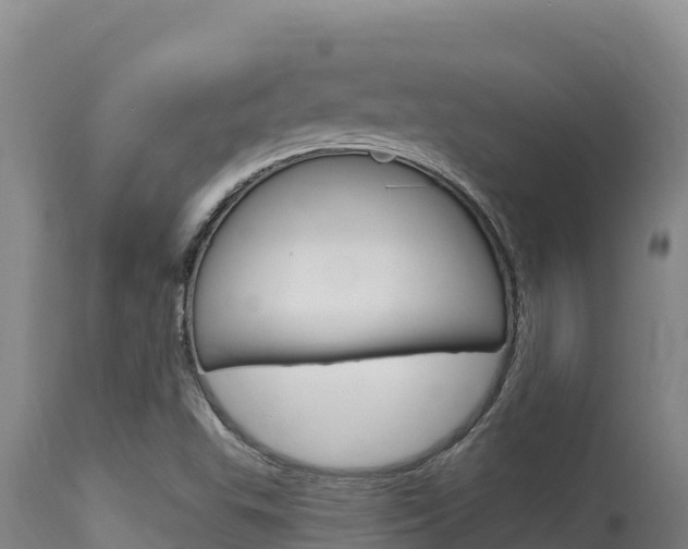 X0000115671503200911120954