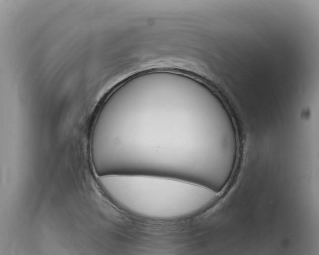 X0000115671505200911120954